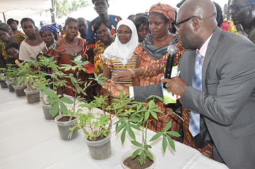 WAVE-COTE D’IVOIRE IN ACTION: Awarness campain against root and tuber crops diseases in Côte D’Ivoire