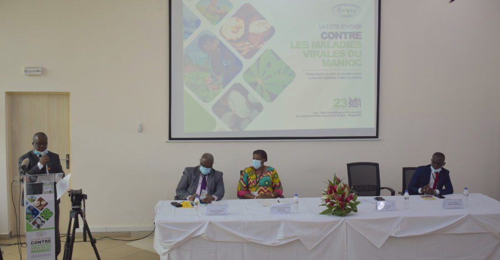 En route vers l’opérationnalisation des plans nationaux de prévention et  de riposte contre les maladies virales du manioc