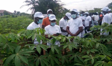 WAVE Project: CRI-Kumasi Trains Agric Officers To Track Cassava Disease