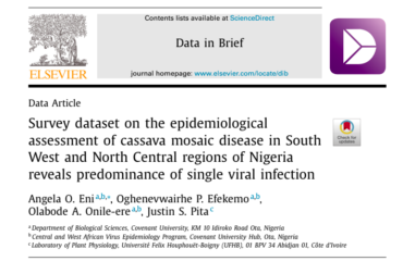 Survey dataset on the epidemiological  assessment of cassava mosaic disease in South West and North Central regions of Nigeria reveals predominance of single viral infection