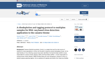A ribodepletion and tagging protocol to multiplex samples for RNA-seq based virus detection: application to the cassava virome – FR