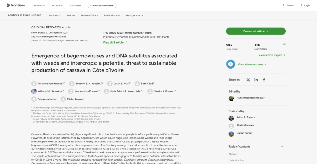 Emergence of begomoviruses and DNA satellites associated with weeds and intercrops: a potential threat to sustainable production of cassava in Côte d’Ivoire. - FR