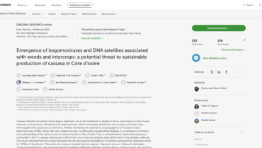 Emergence of begomoviruses and DNA satellites associated with weeds and intercrops: a potential threat to sustainable production of cassava in Côte d’Ivoire. – FR