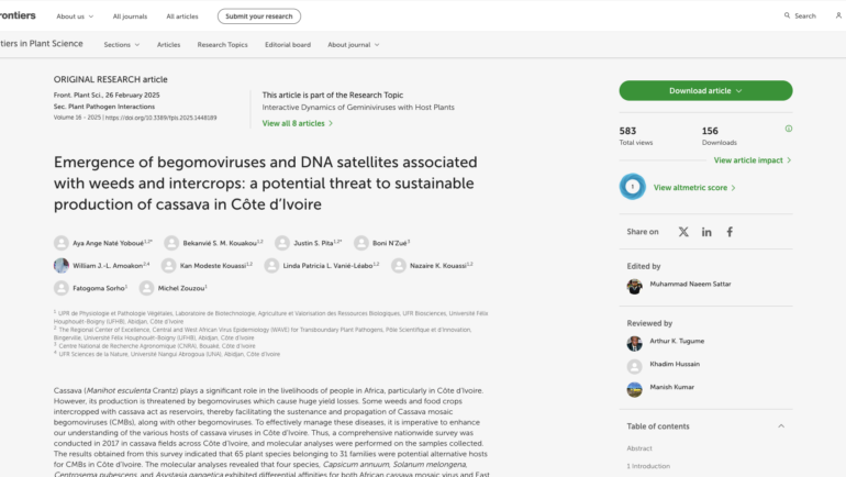 Emergence of begomoviruses and DNA satellites associated with weeds and intercrops: a potential threat to sustainable production of cassava in Côte d’Ivoire.