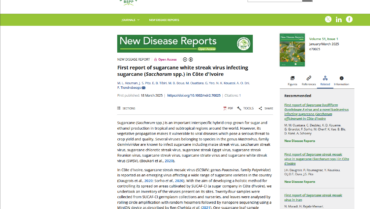 First report of sugarcane white streak virus infecting sugarcane (Saccharum spp.) in Côte d’Ivoire – FR