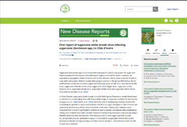 First report of sugarcane white streak virus infecting sugarcane (Saccharum spp.) in CΓ΄te d’Ivoire – FR